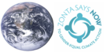 Maapallo ja Zonta says NOW -logo