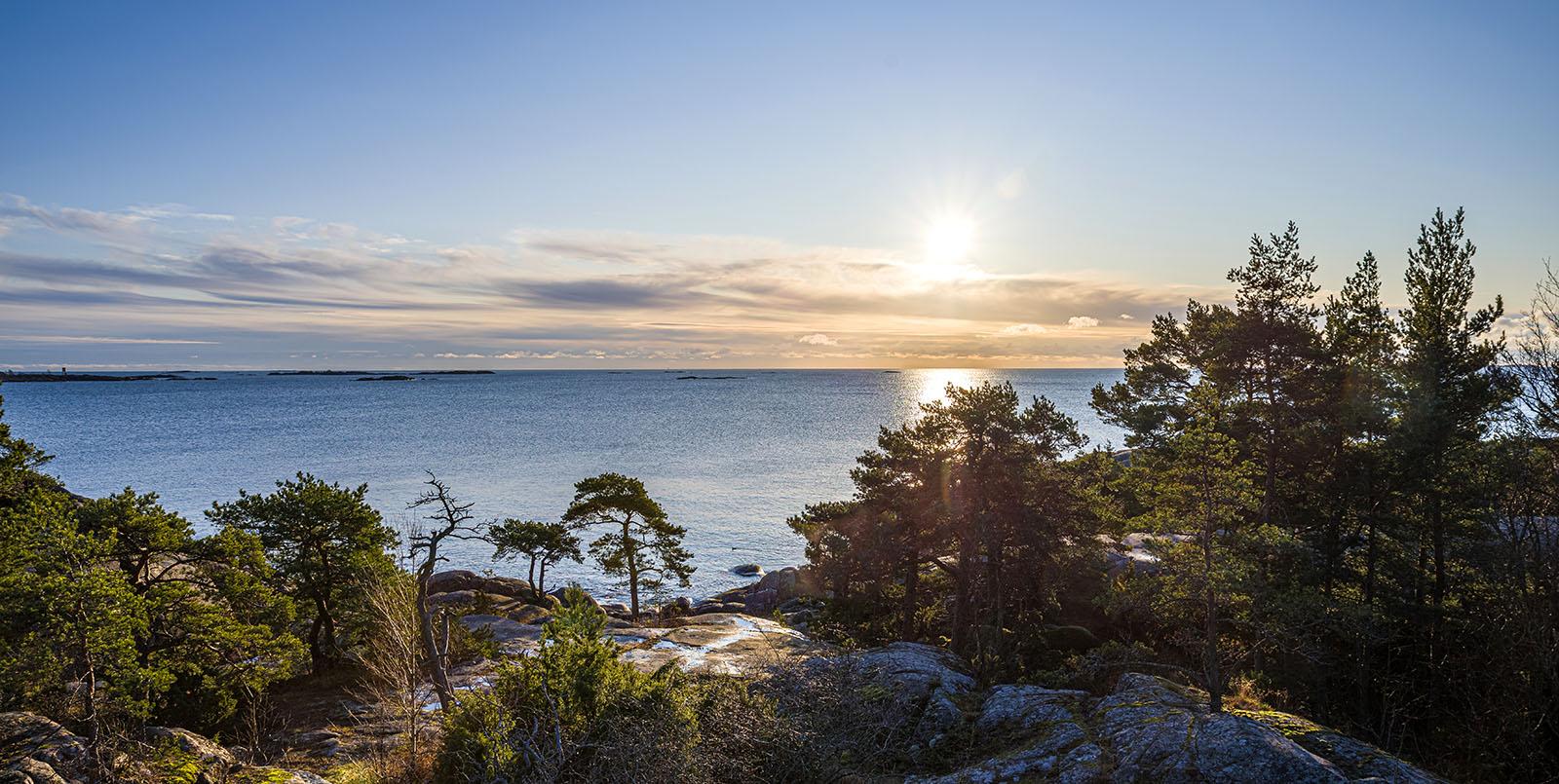 Kuvaaja: Tapio Kekkonen